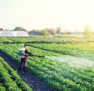 WhatsApp Image 2021-05-11 at 11.28.17 (1)